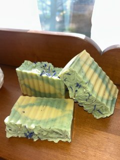 IMG_9809.jpeg