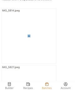 IMG_9555.jpeg