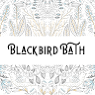 Blackbird Bath