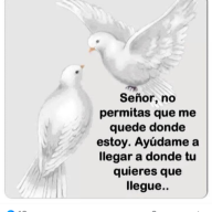Rosamiguel