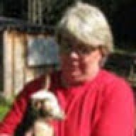 Patricia Stewart