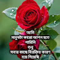 masum patwary