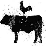 sherlocklabs